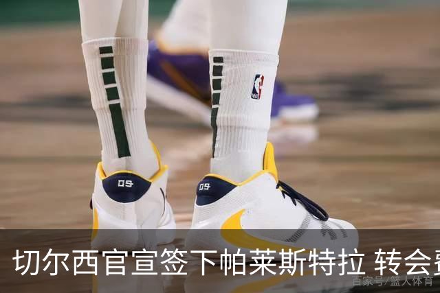 切尔西官宣签下帕莱斯特拉 转会费超5500万欧签约7年