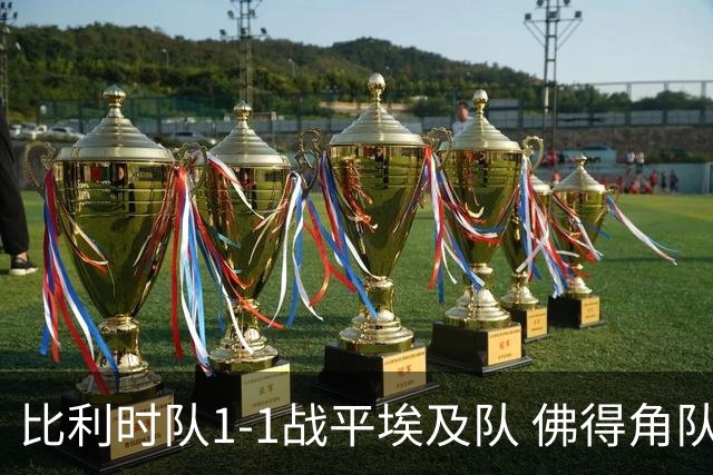 比利时队1-1战平埃及队 佛得角队爆冷逼平西班牙队